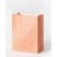Papírtáska L BASIC, 110 g/m², kraft, 20 db, 24×31×12 cm, vegyes színek - Folia Papírtáska L BASIC, 110 g/m², kraft, 20 db, 24×31×12 cm, vegyes színek - Folia